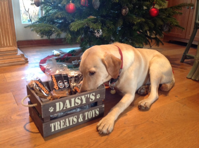 Cheese dog biscuits. Handmade dog biscuits. Dog treats. Natural dog treats