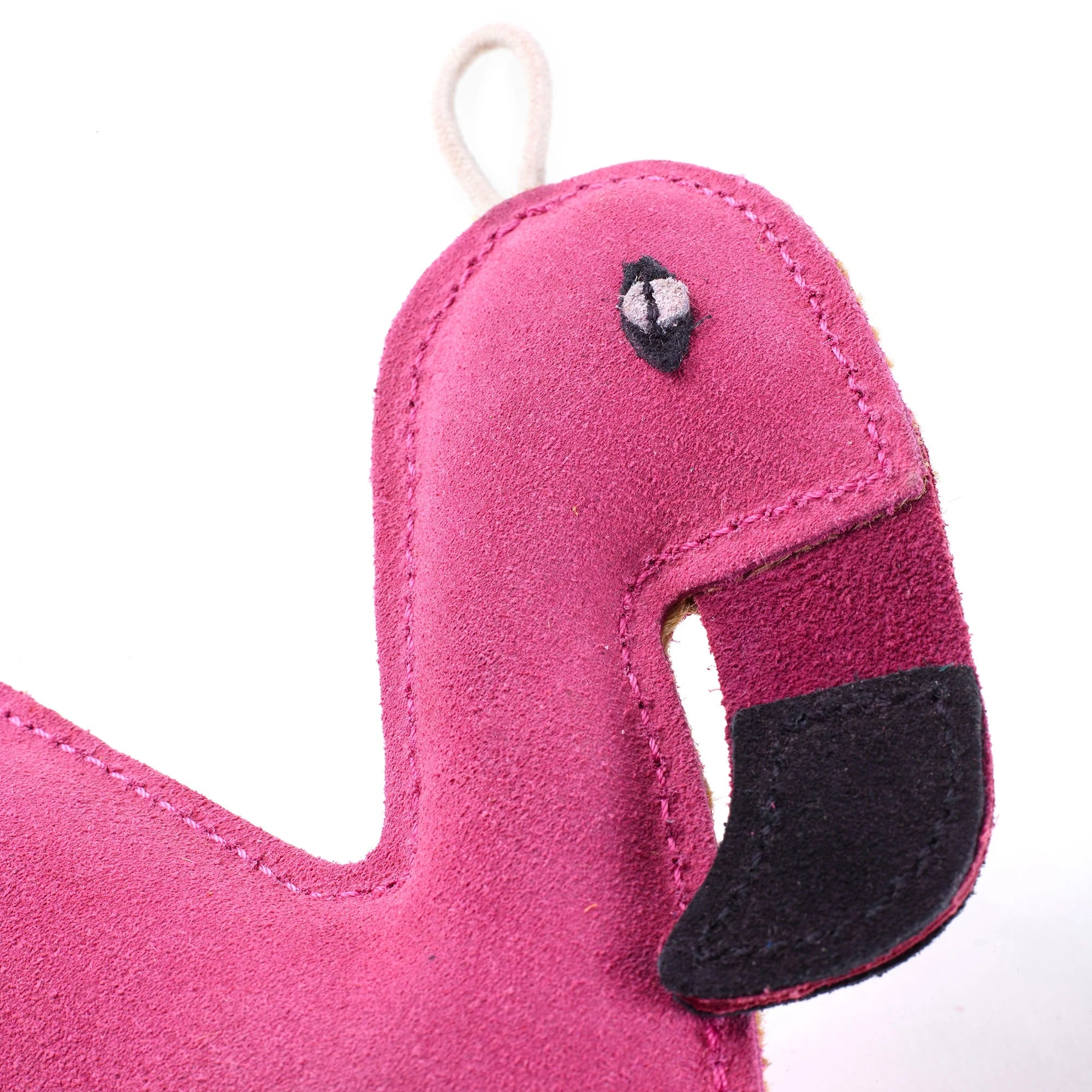 Floyd the Flamingo up close