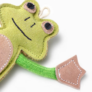 Francois Le Frog eco dog toy