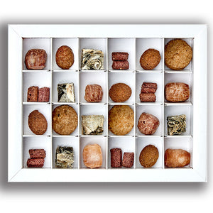 advent calendar for dogs full of Green & Wilds natural dog treats
