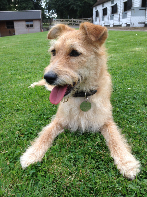 ***FETCH OUR PUPDATES***