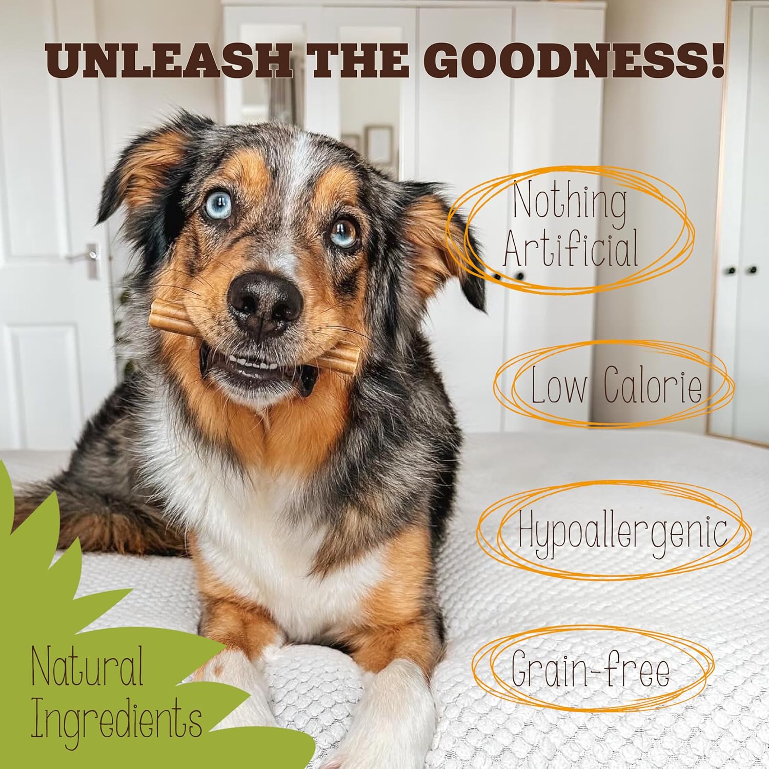 Soopa Pumpkin Spiced Latte dental sticks for dogs