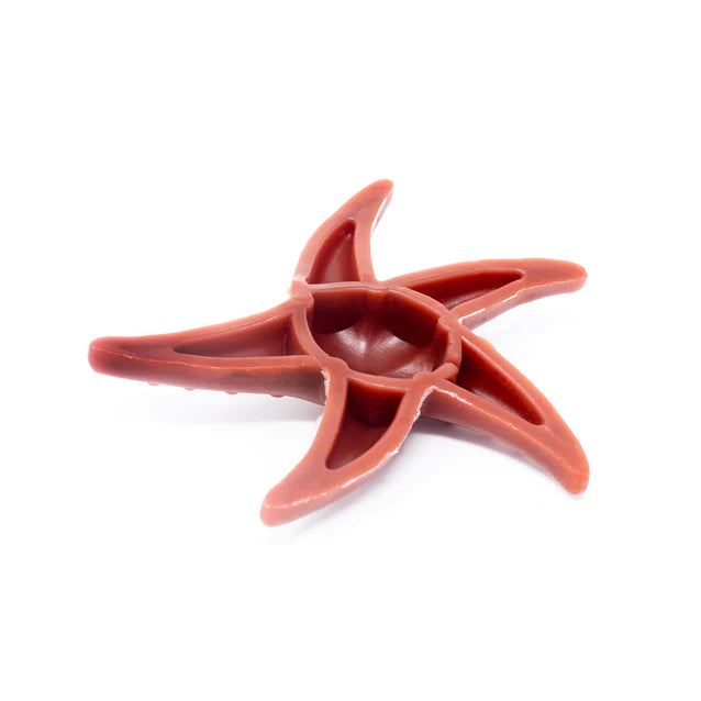 Apple and Mint Starfish Dog Chew - Low Fat Vegetable-Based Dental Treat