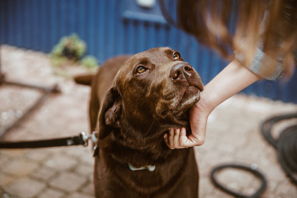 ***FETCH OUR PUPDATES***