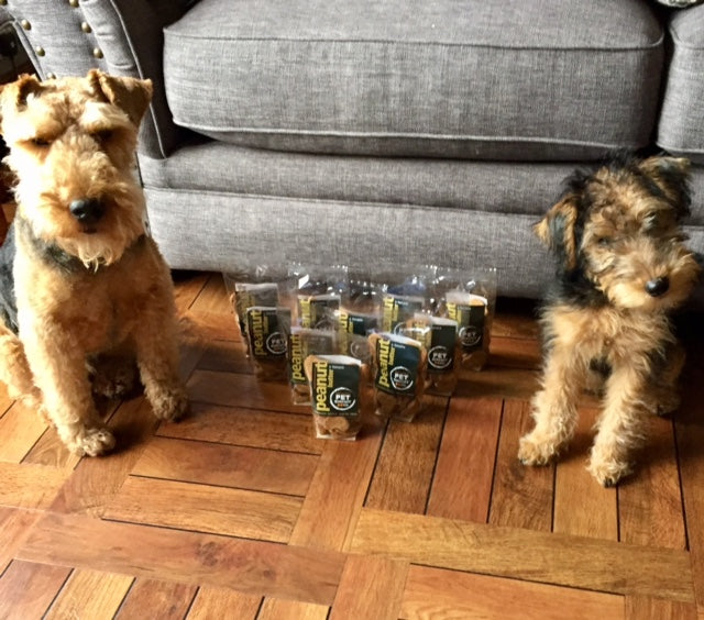 Peanut Butter and Banana handmade dog biscuits. Dog treats. Natural dog treats