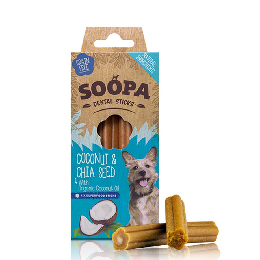 Dental chews for online dogs with pancreatitis