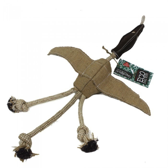Desmond the Duck eco dog toy