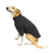 Hotterdog fleece dog jumper black
