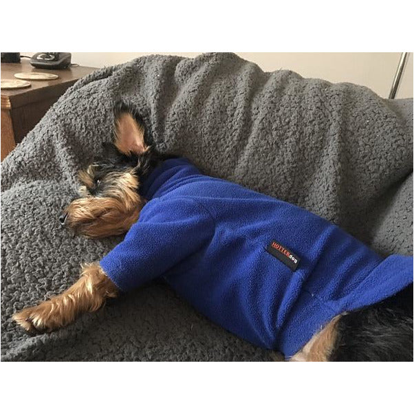 HOTTERdog fleece dog jumper in royal blue