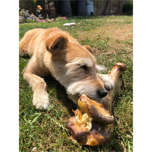 Ostrich bone - low fat dog chew